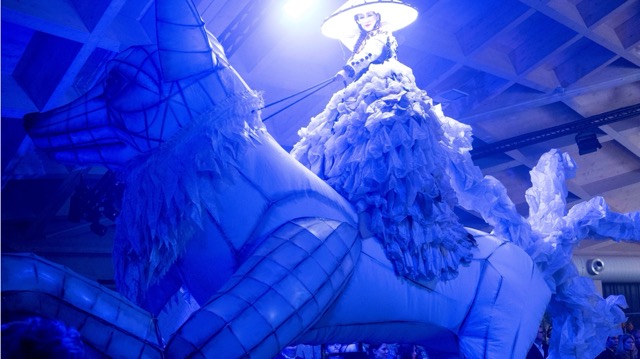 Mittel (10_Komvent_BSR_Event Domes_Night_Fox)