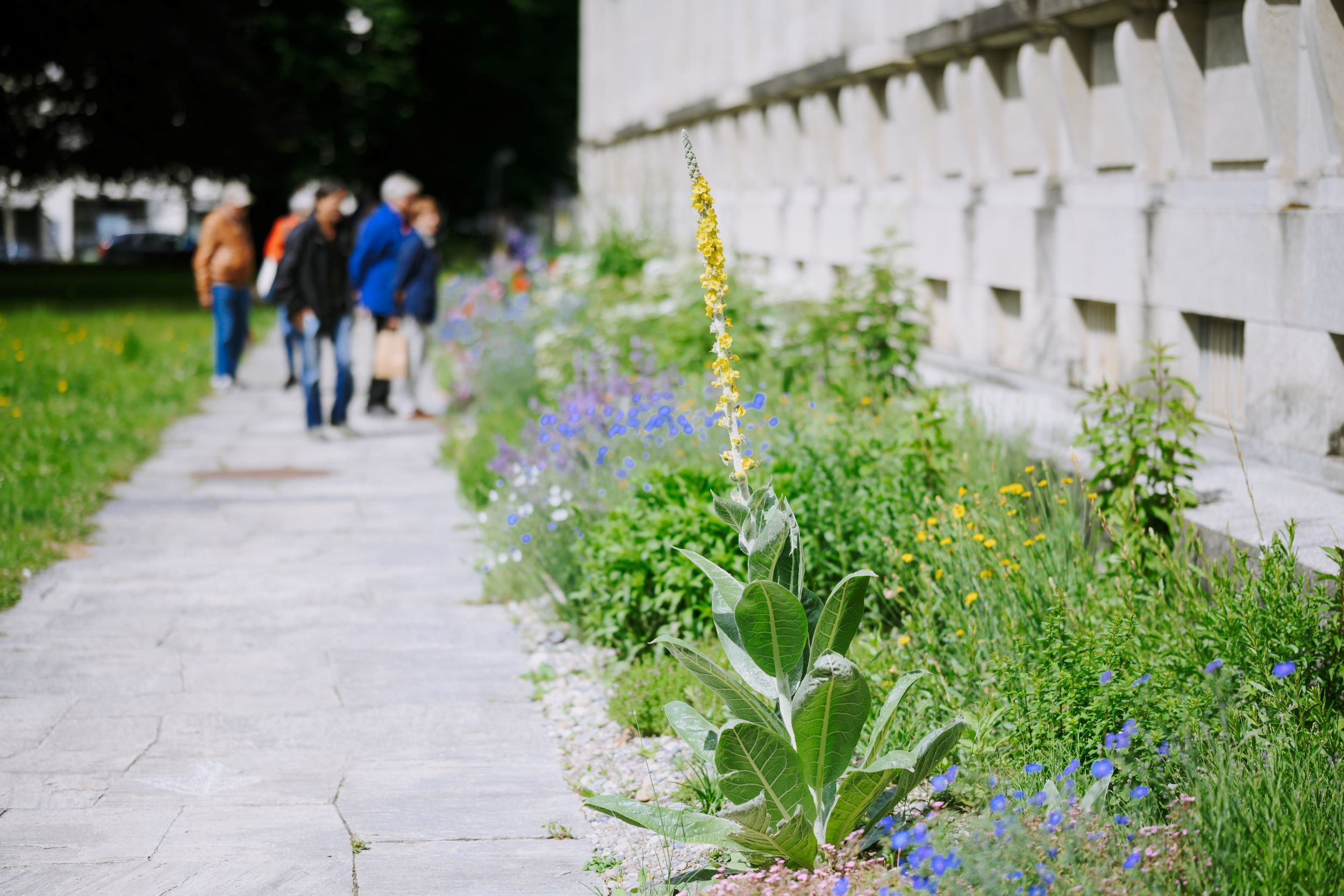 35_ERÖFFNUNG_FLORA_FUTURA_PARK