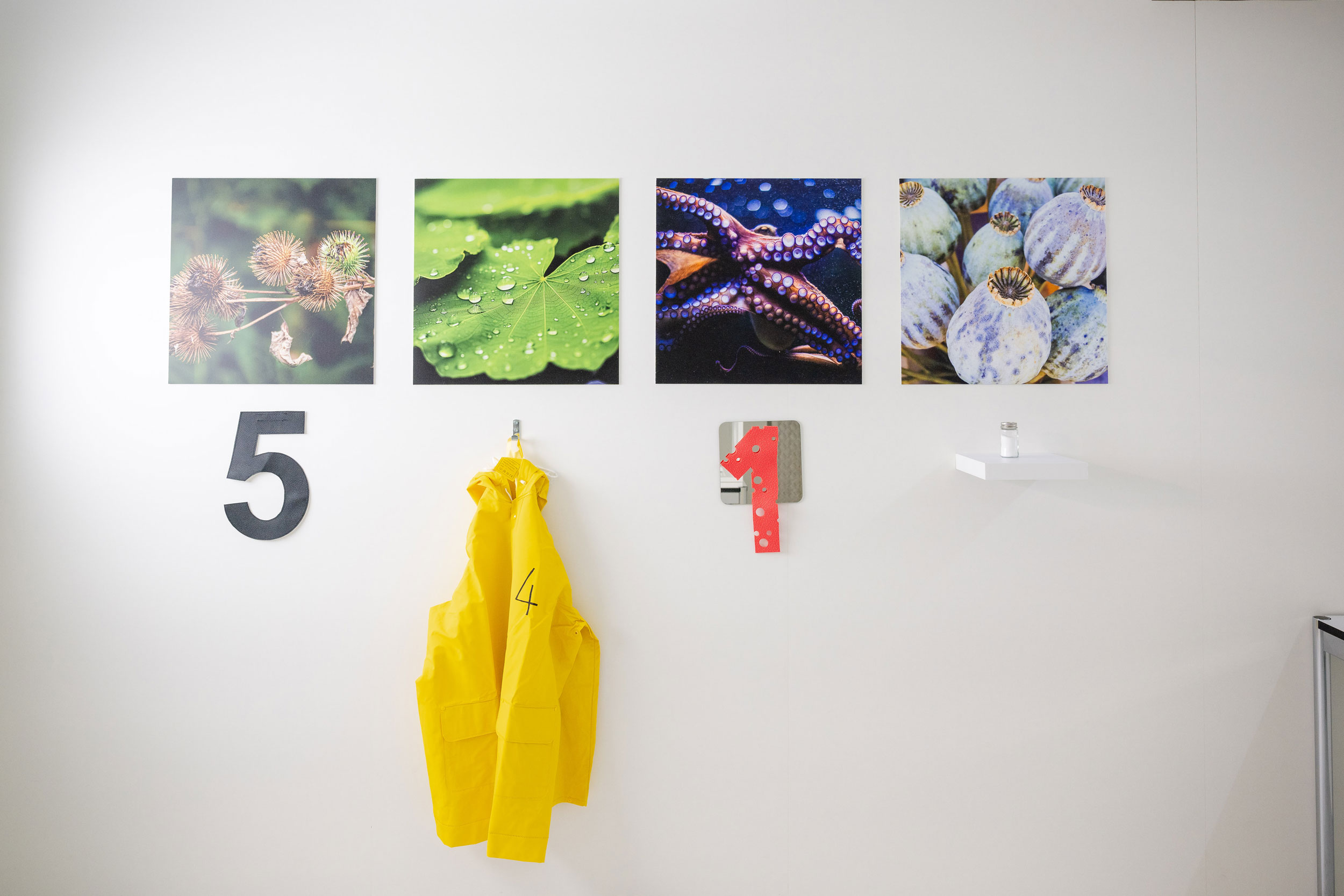 Spiel-Labor-Bionikrätsel